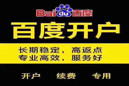 行业领先SEM托管代运营案例